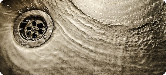 Blocked drain close-up