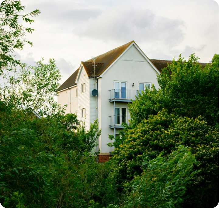 Property surrounded by trees