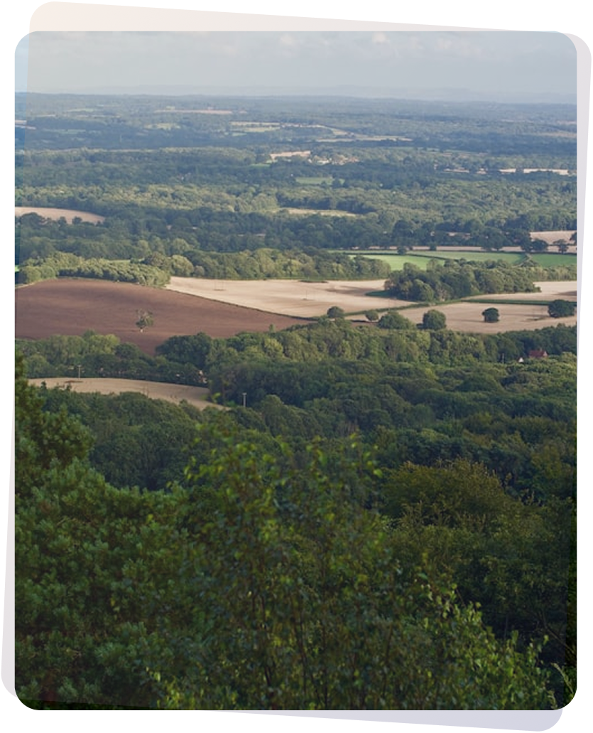 Environmental landscape assessment